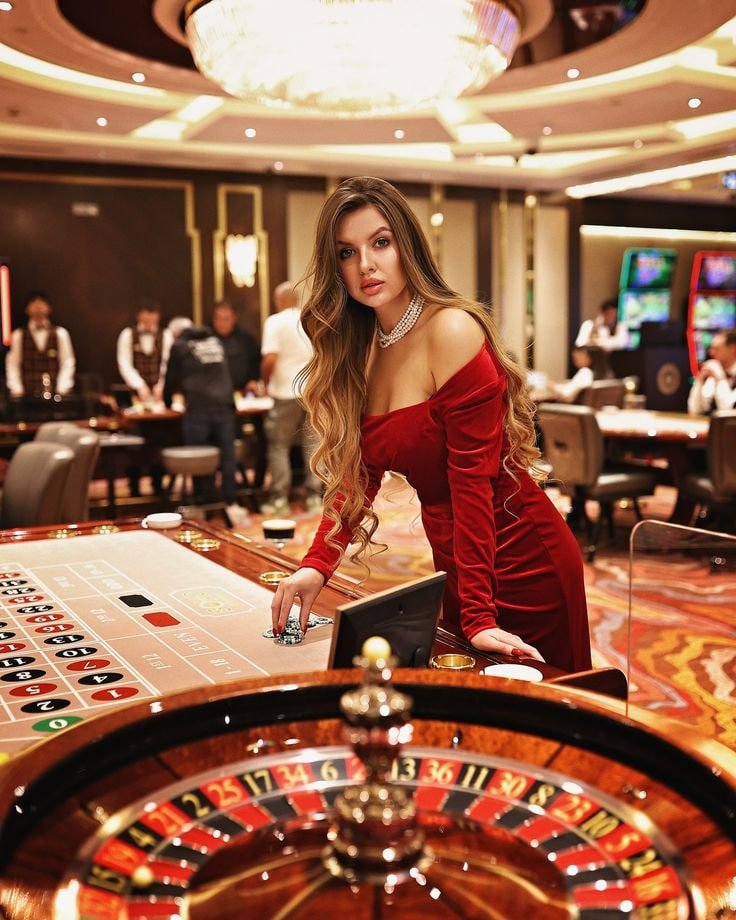 ak555